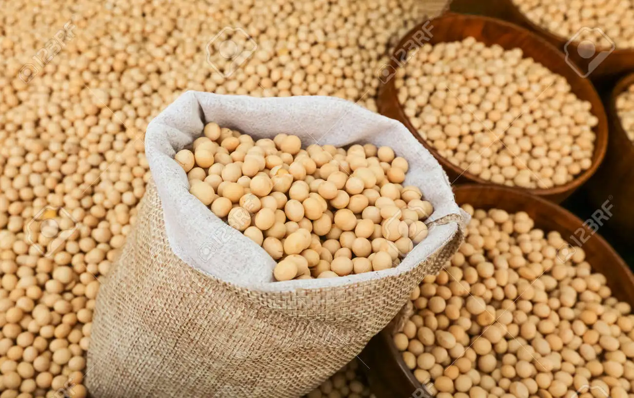 Soya Beans